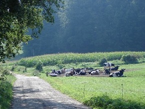 Hof Basten - Weg