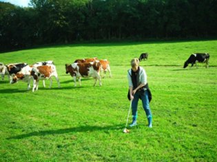 Hof Basten - Weg